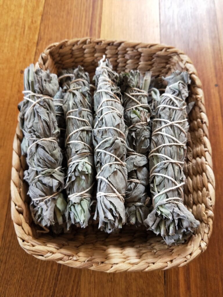 IMG20251009155102 768x1024